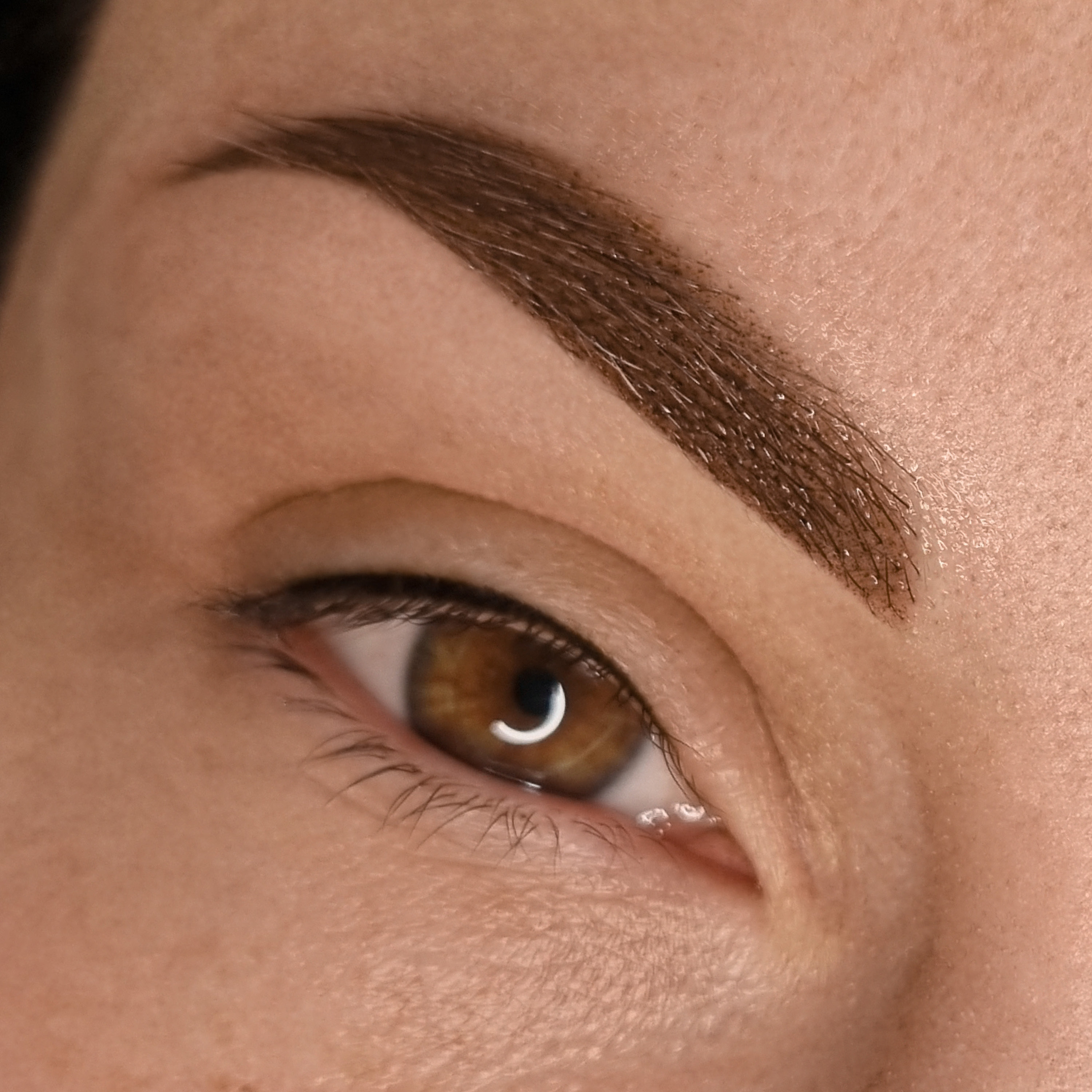 marina_schaefer_brow_2